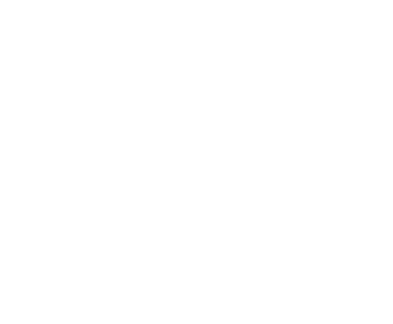 Kerstboomtotaal BV